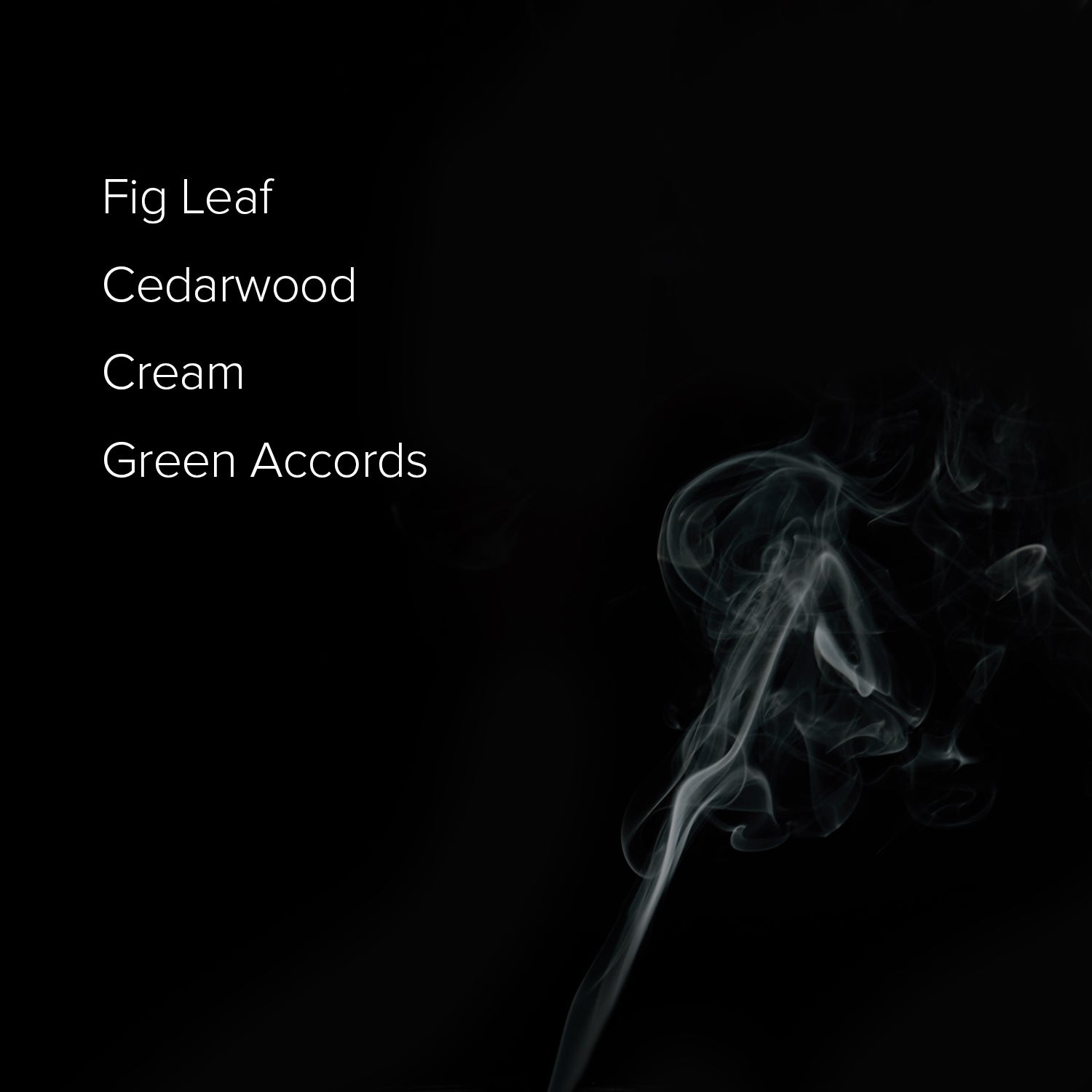 Fig Tree Scented Candle